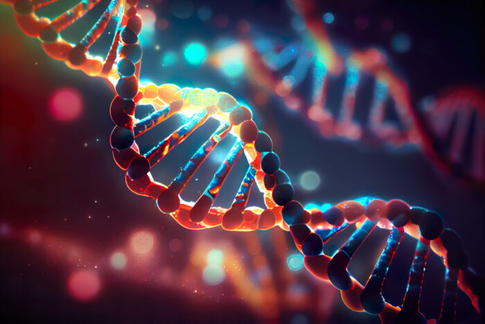 ゲノム解析：遺伝的要素の評価と個別化された治療計画の策定