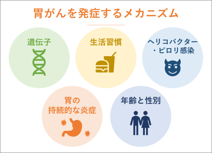 胃癌（胃がん）の原因について