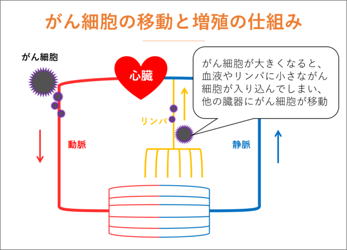 がん転移のメカニズム。がん細胞の移動と増殖の仕組み