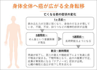 癌が転移してもあきらめない。転移癌が治る確率とその可能性