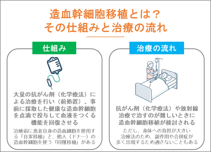 造血幹細胞移植とは?その仕組みと治療の流れ
