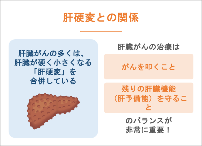 肝硬変との関係