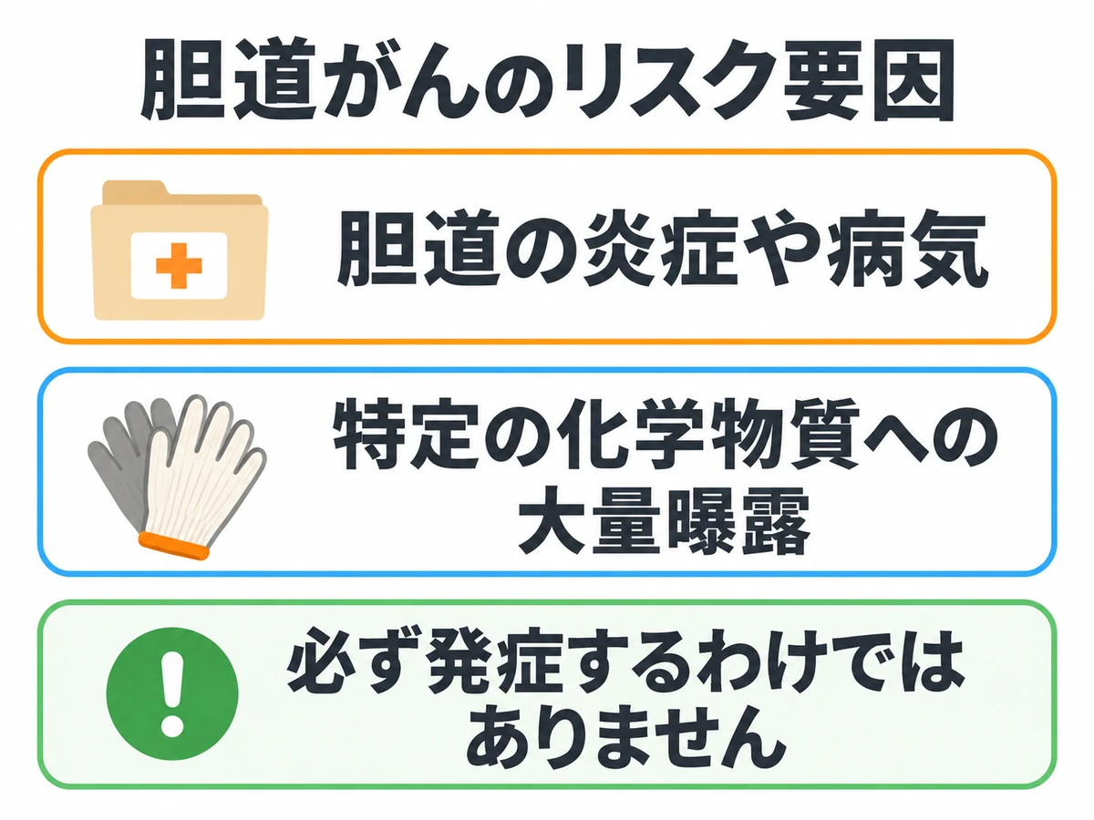 胆道の炎症や病気、特定の化学物質への大量曝露をリスク要因として示し、必ず発症するわけではないと伝える図