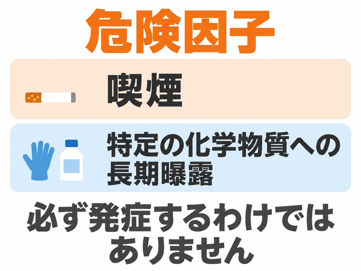 膀胱がんの危険因子として喫煙と特定の化学物質への長期曝露を示し、必ず発症するわけではないと説明した図解。