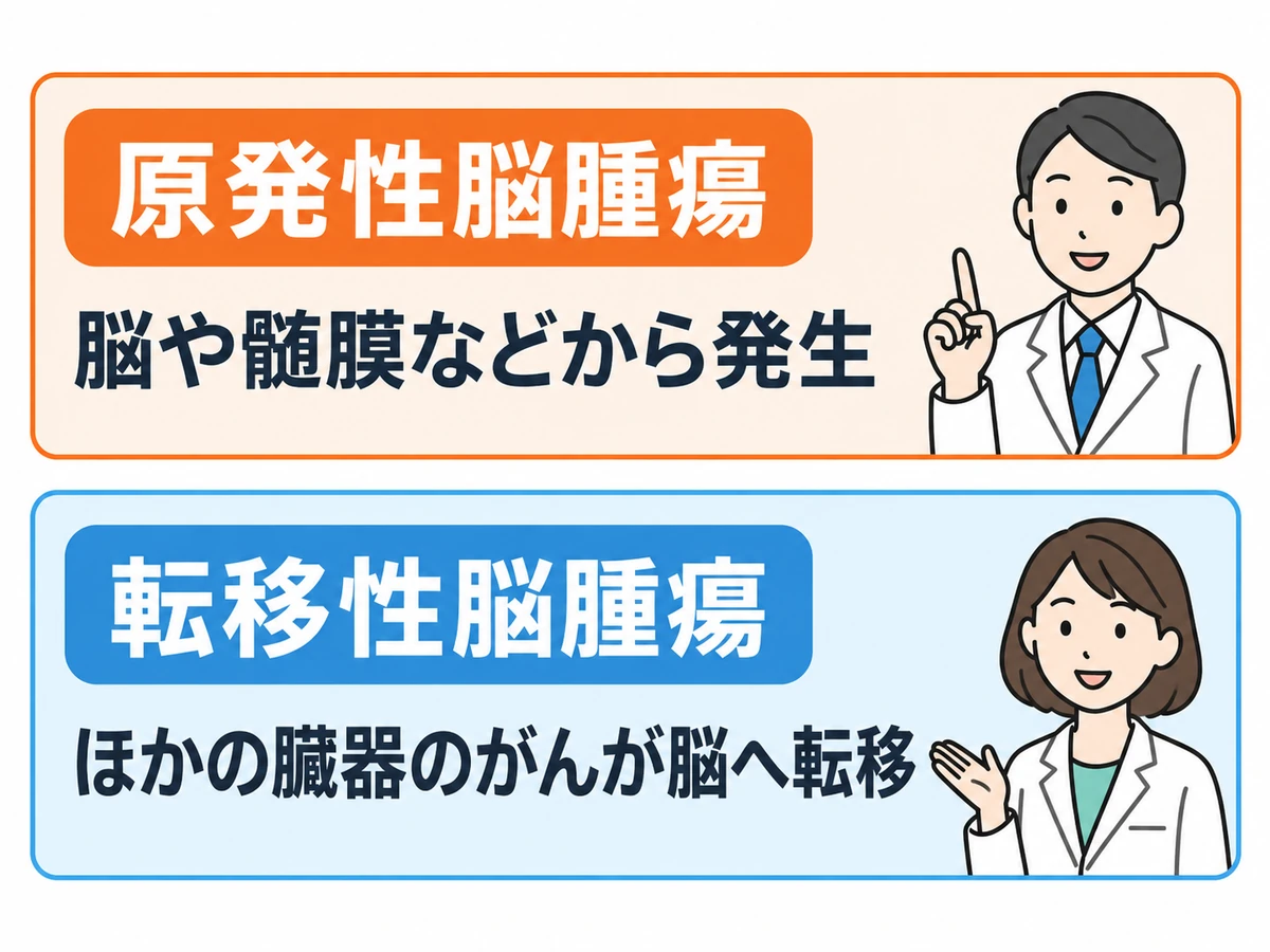 原発性脳腫瘍は脳や髄膜などから発生し、転移性脳腫瘍はほかの臓器のがんが脳へ転移するという違いを示す図解