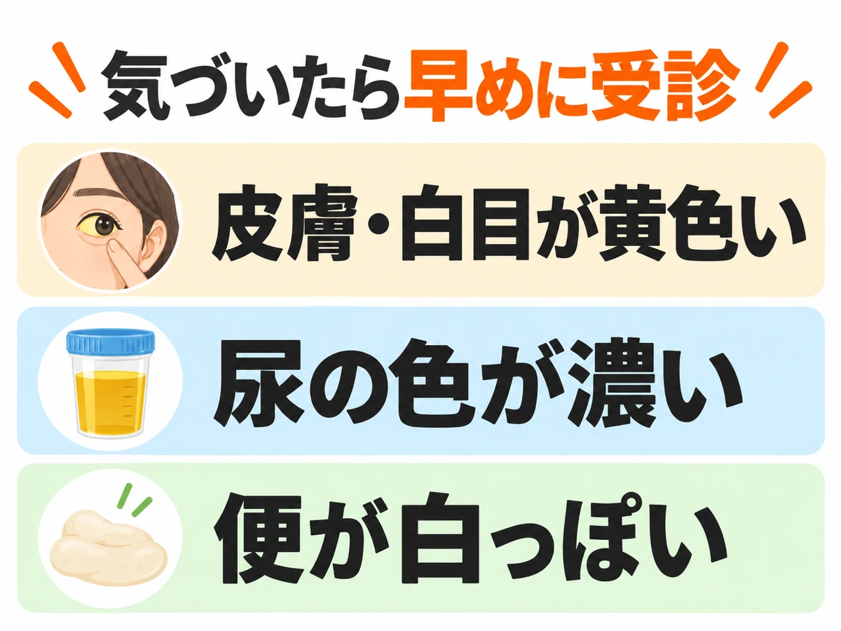 皮膚や白目が黄色い、尿の色が濃い、便が白っぽい変化に気づいたら早めの受診を促す図
