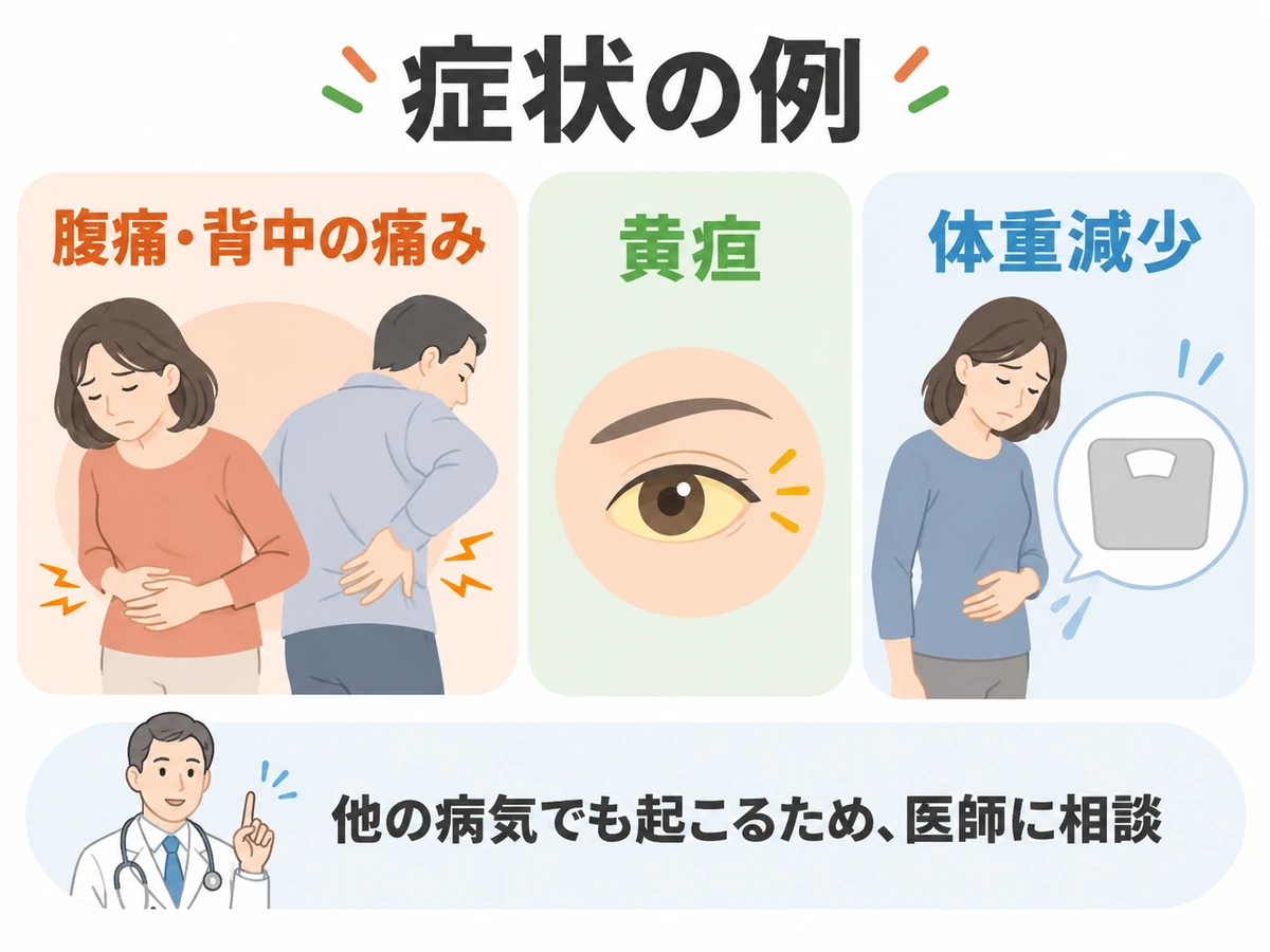 腹痛・背中の痛み、黄疸、体重減少を症状の例として示し、医師への相談を促す図解