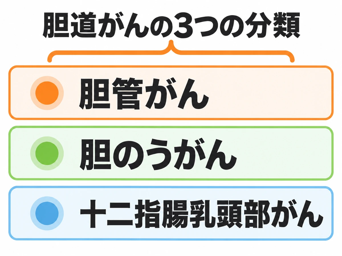 胆道がんを胆管がん・胆のうがん・十二指腸乳頭部がんに分けた分類図