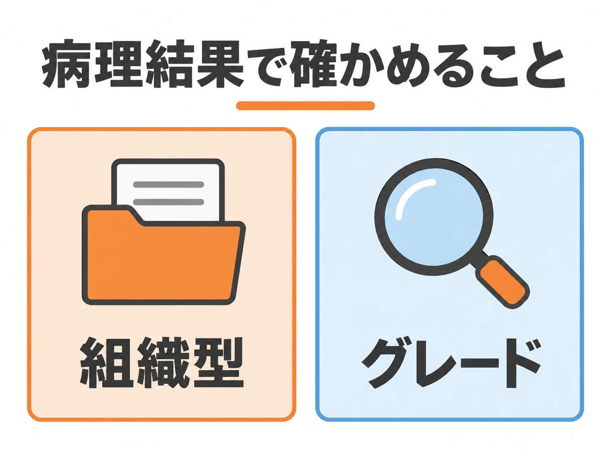 病理結果で確かめる組織型とグレードを示した図