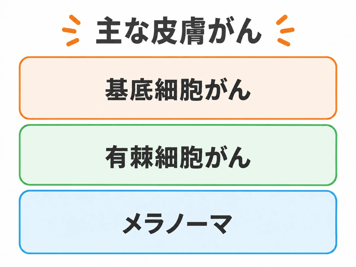 主な皮膚がんとして、基底細胞がん、有棘細胞がん、メラノーマの3種類を並べた図。