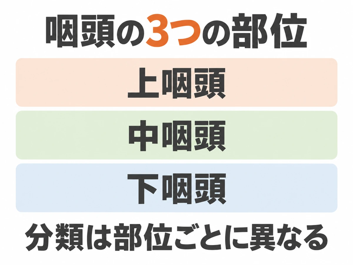 咽頭の3つの部位を上から上咽頭、中咽頭、下咽頭と並べ、分類は部位ごとに異なることを示した図