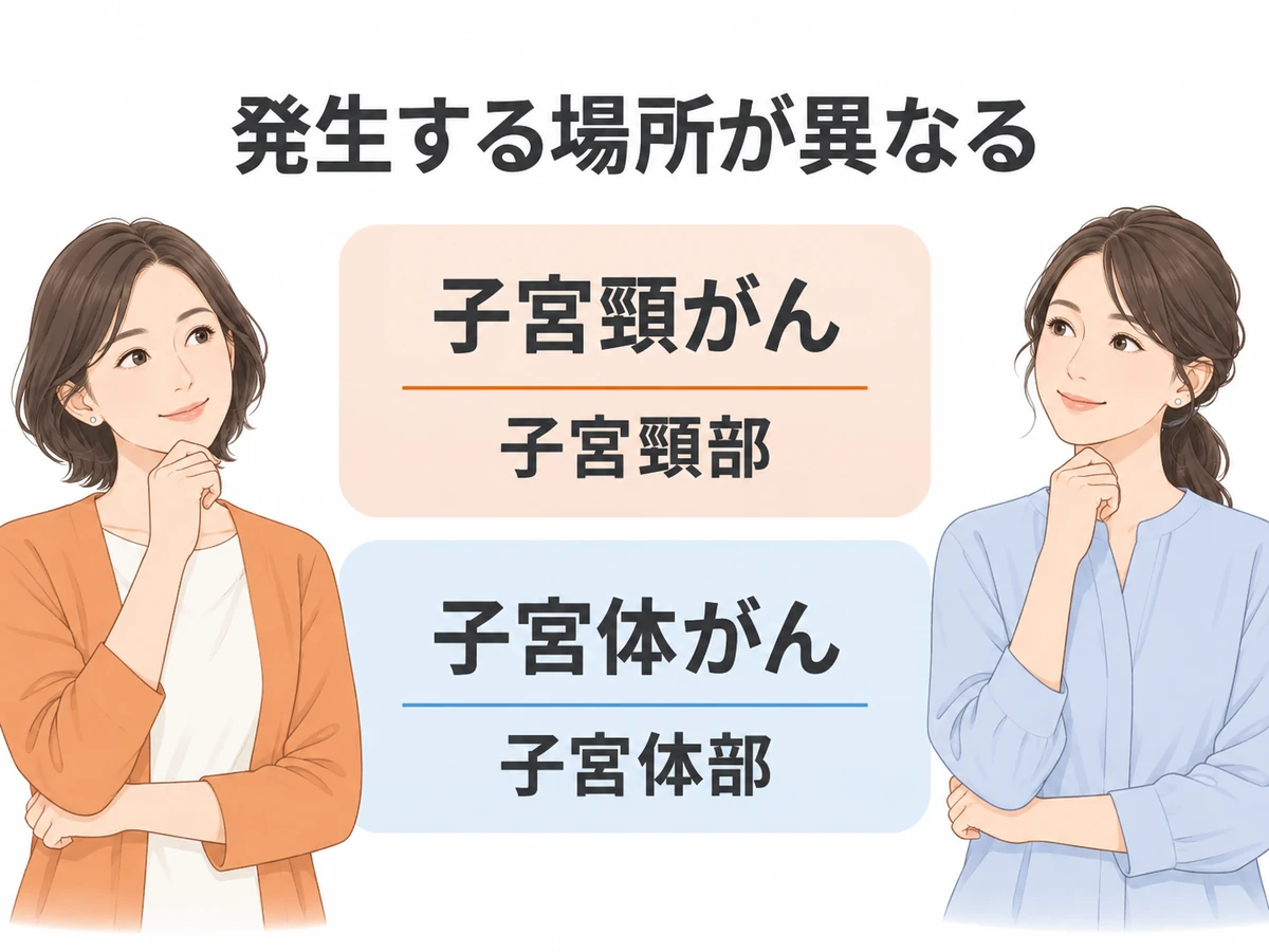 子宮頸がんは子宮頸部、子宮体がんは子宮体部に発生することを示す図解。