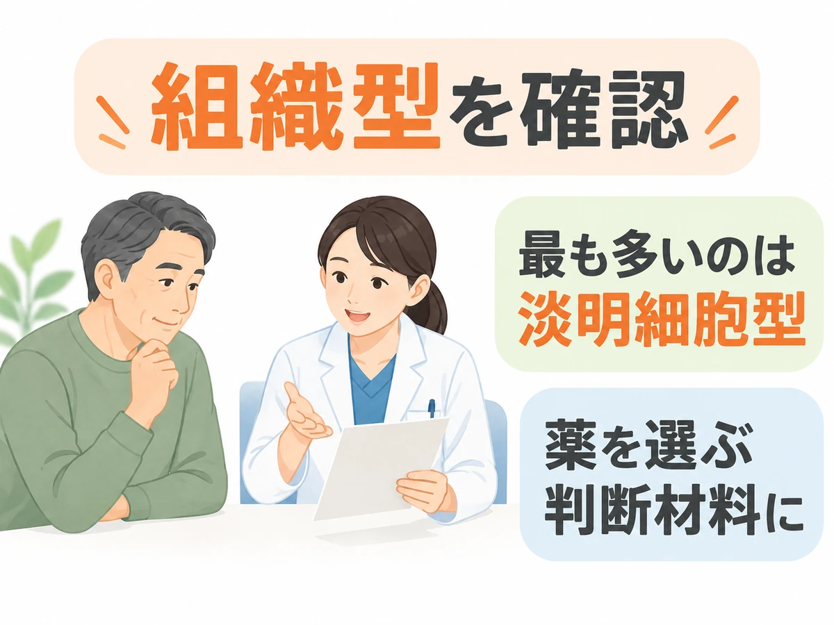 腎細胞がんでは淡明細胞型が最も多く、組織型の確認が薬を選ぶ判断材料になることを示す図解。