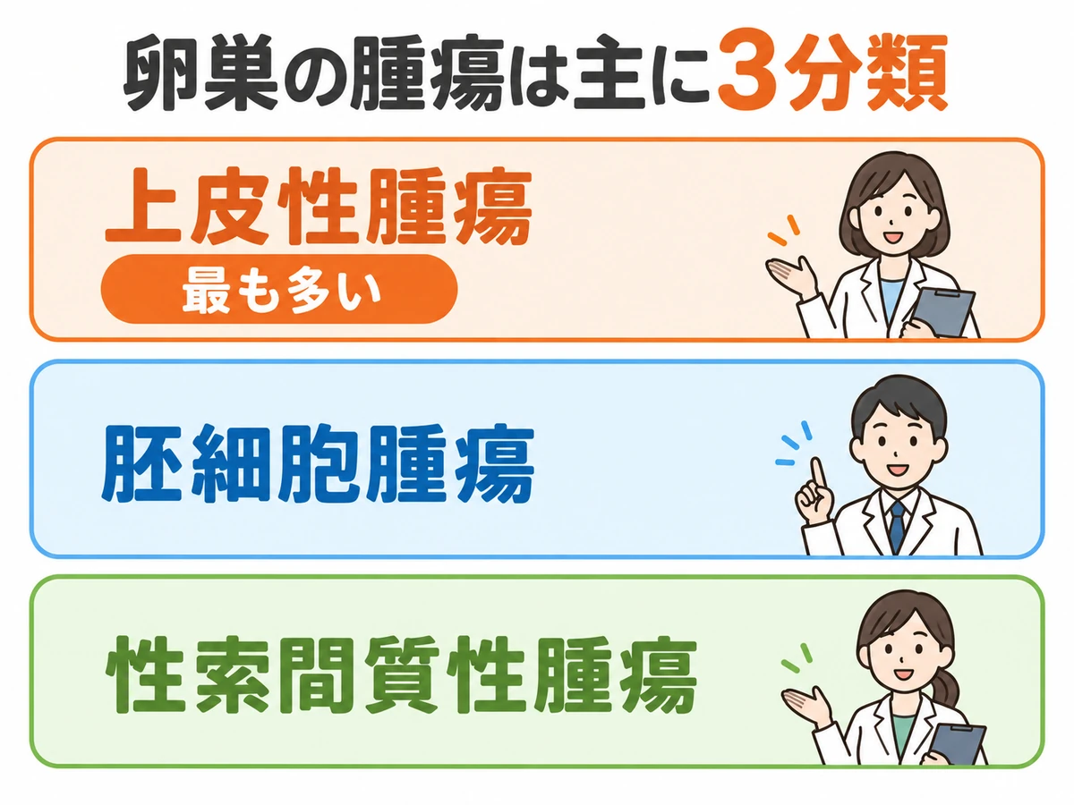卵巣の腫瘍の3分類である上皮性腫瘍、胚細胞腫瘍、性索間質性腫瘍を示す図。