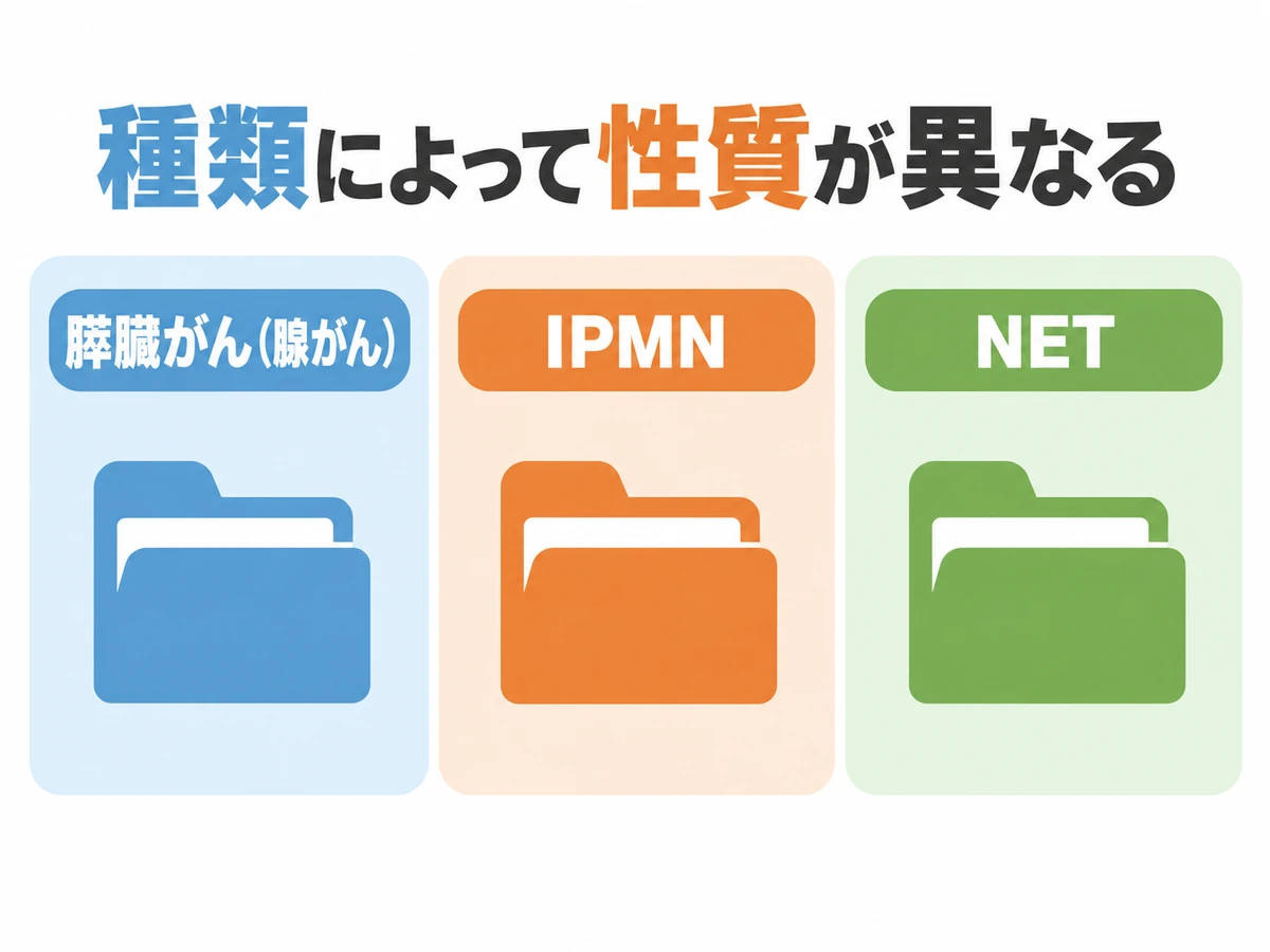 膵臓がん（腺がん）、IPMN、NETを並べ、種類によって性質が異なることを示す図解