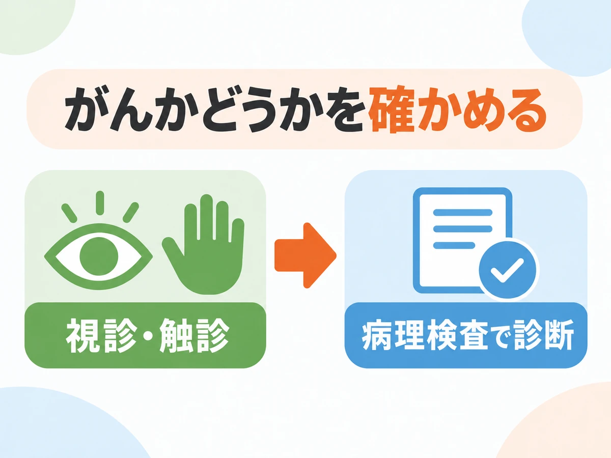視診と触診を行い、病理検査でがんかどうかを診断する流れを示す図