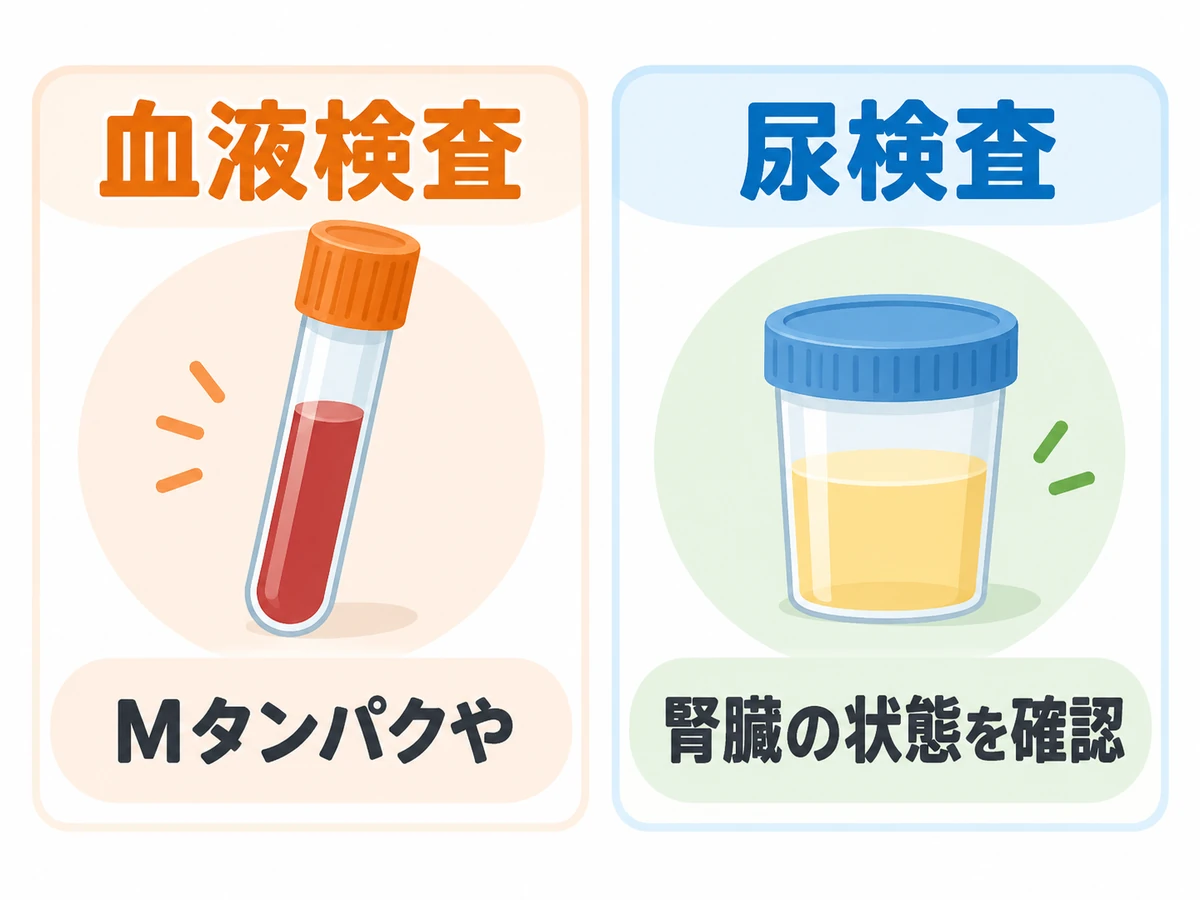 血液検査と尿検査でMタンパクや腎臓の状態を確認することを示した図解