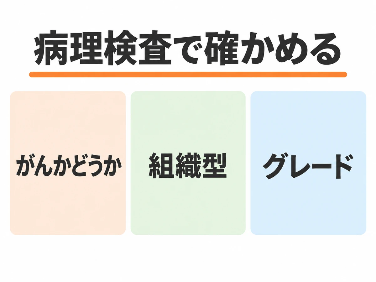病理検査で確かめる、がんかどうか、組織型、グレードの3項目を示した図