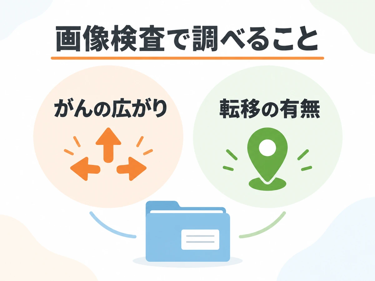 画像検査でがんの広がりと転移の有無を調べることを示す図
