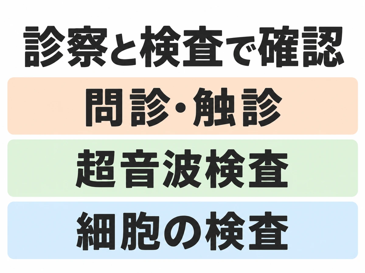 診察と検査の確認項目として問診・触診、超音波検査、細胞の検査を示す図