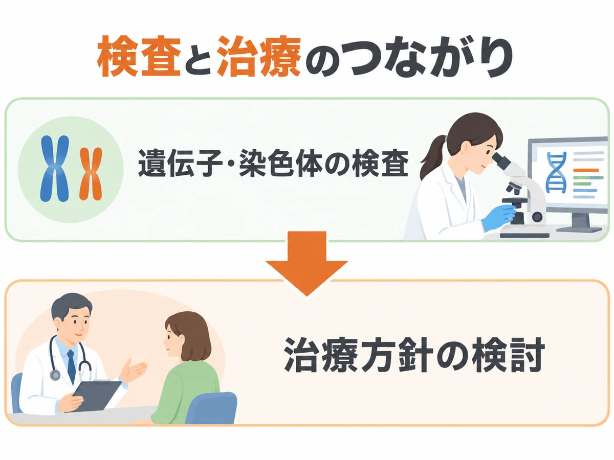 遺伝子・染色体の検査が治療方針の検討につながることを示す図解