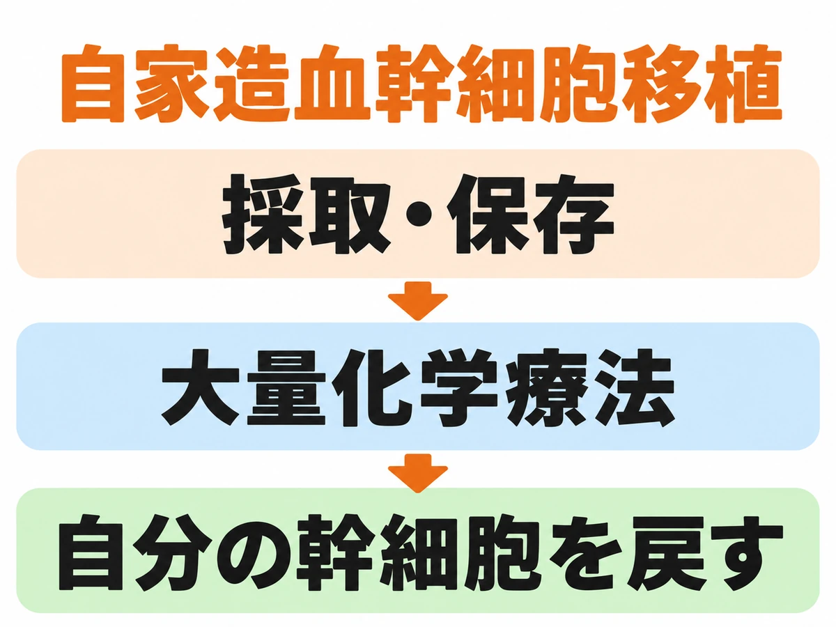 自家造血幹細胞移植で、採取・保存、大量化学療法、自分の幹細胞を戻す順序を示した図解