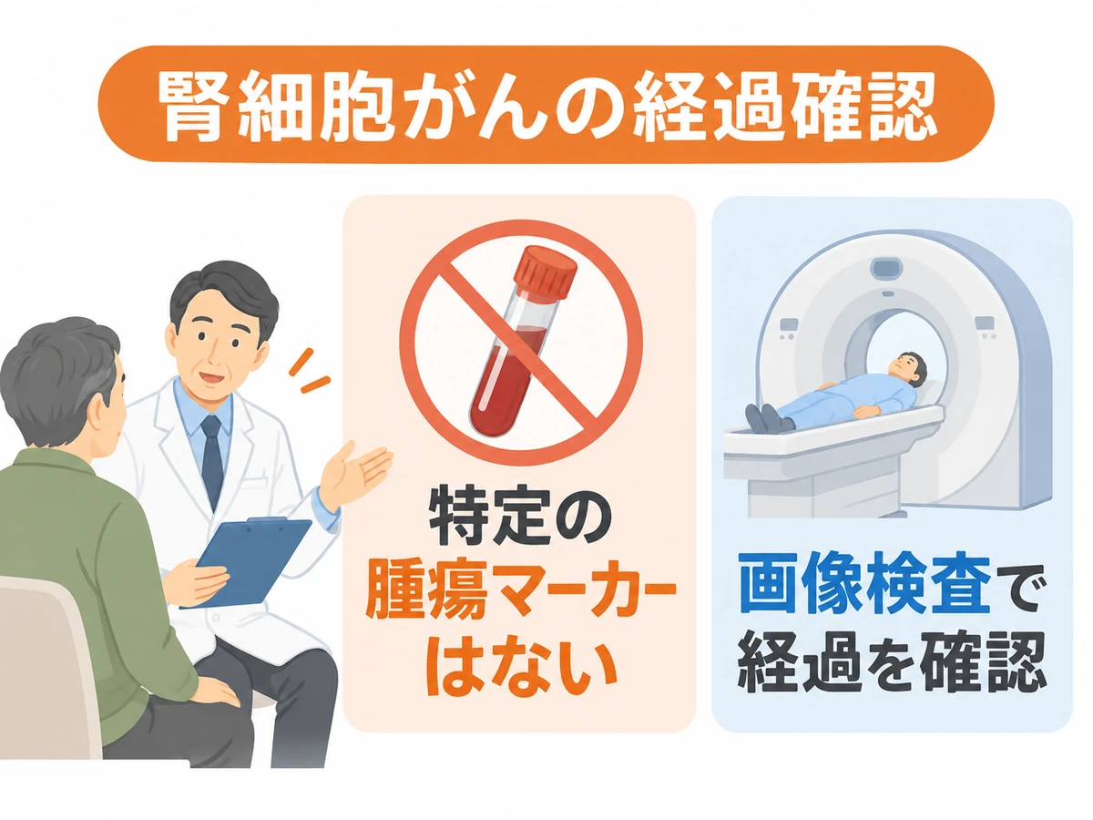 腎細胞がんには特定の腫瘍マーカーがなく、画像検査で経過を確認することを示す図解。
