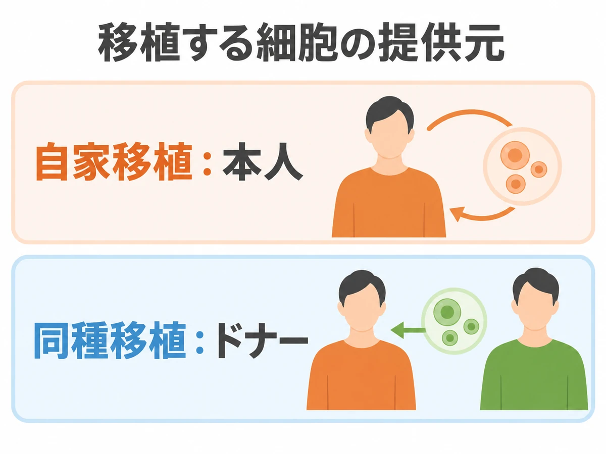 造血幹細胞の提供元を本人の自家移植とドナーの同種移植に分けて示す図解