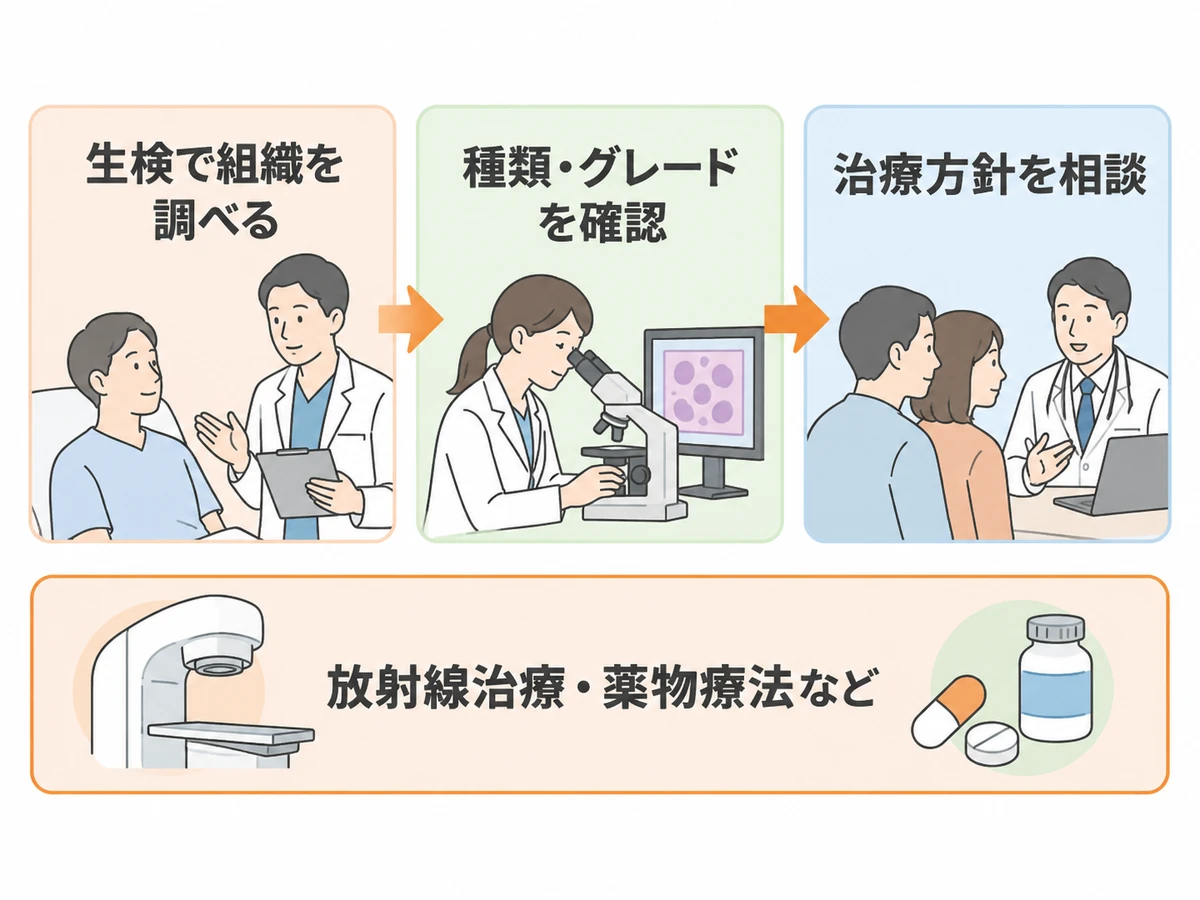 生検で組織を調べ、種類やグレードを確認して治療方針を相談する流れと、放射線治療・薬物療法などの選択肢を示す図解